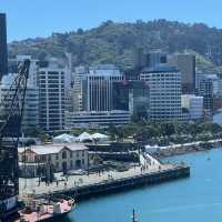 Wellington 1 Days Itinerary