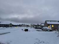 Snowy dreamland 