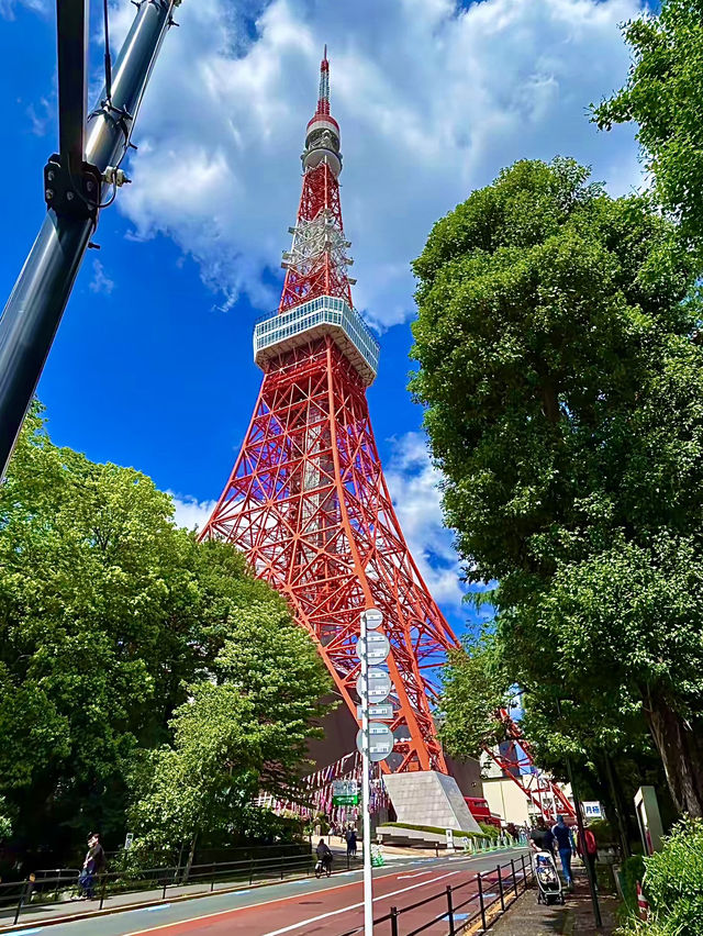 โอซาก้า🇯🇵