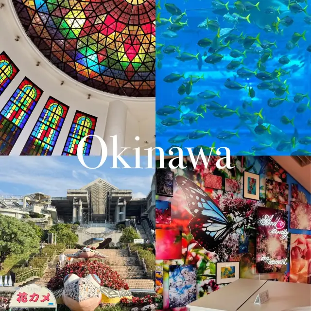 Okinawa... Is No One Talking About This Underrated Gem?! 🏝️🤫