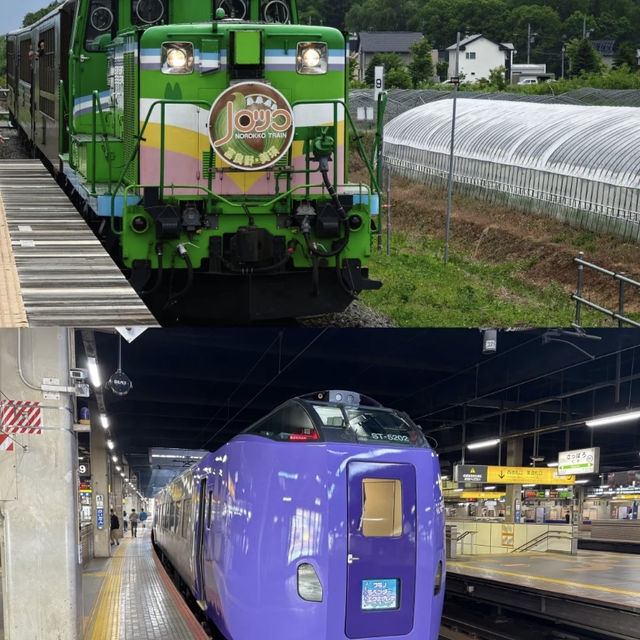 Hokkaido's Summer Bliss: Melon Dreams in Furano & Breezy Fields in Biei! 🍈🌬️