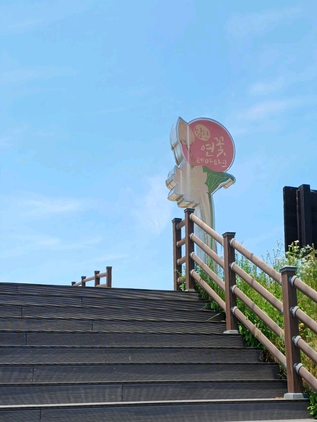 연꽃의 여정이 시작되는 공간, 함안 연꽃테마공원