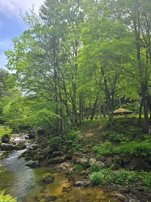 Waterfalls, Woods, and Zero Worries