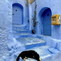 Chefchaouen, The Blue Pearl: Essential Tips 💙🇲🇦