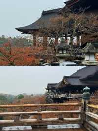 🇯🇵 Kyoto on Budget
