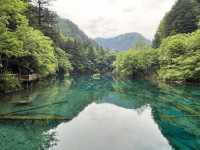  🌈 Jiuzhaigou Must-Visit Tips – Nature, Waterfalls & What to Skip