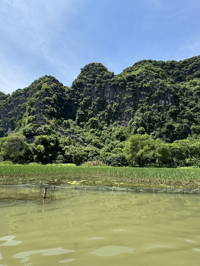 🌿 Glide Through Nature’s Masterpiece – Tam Cốc’s Hidden Wonders