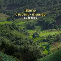นาขั้นบนได บ้านป่าแป๋-บ้านละอูบ แม่ฮ่องสอน