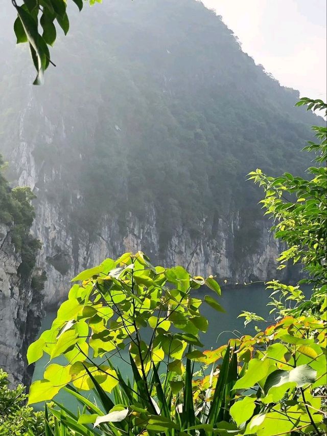 ⛵🌅 Sail into a Dream! | Halong Bay Cruise Adventure 🇻🇳✨