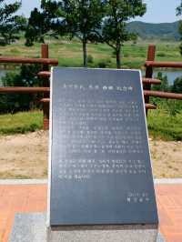 꽃나들이 명소