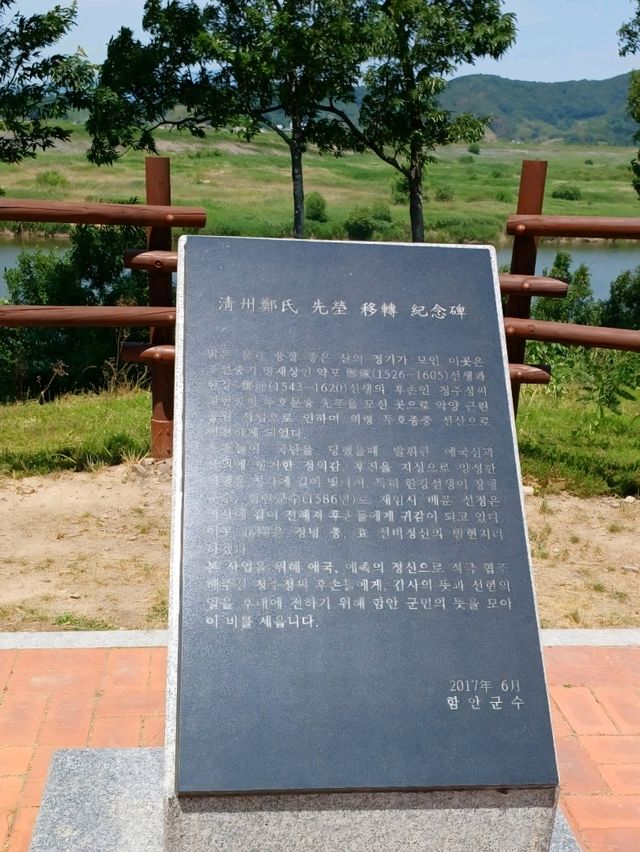 꽃나들이 명소
