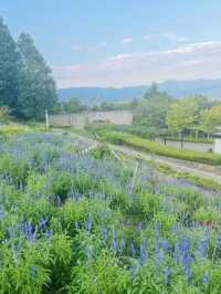 🦁自然と遊びが融合！愛宕山こどもの国で心も体もリフレッシュ🌿