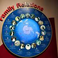 Exploring the Wonders of the International Antarctica Museum