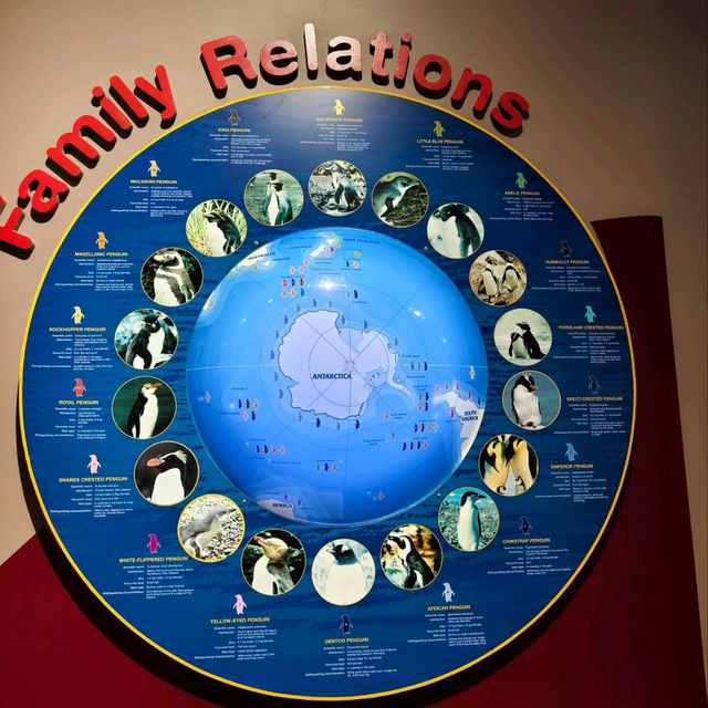 Exploring the Wonders of the International Antarctica Museum