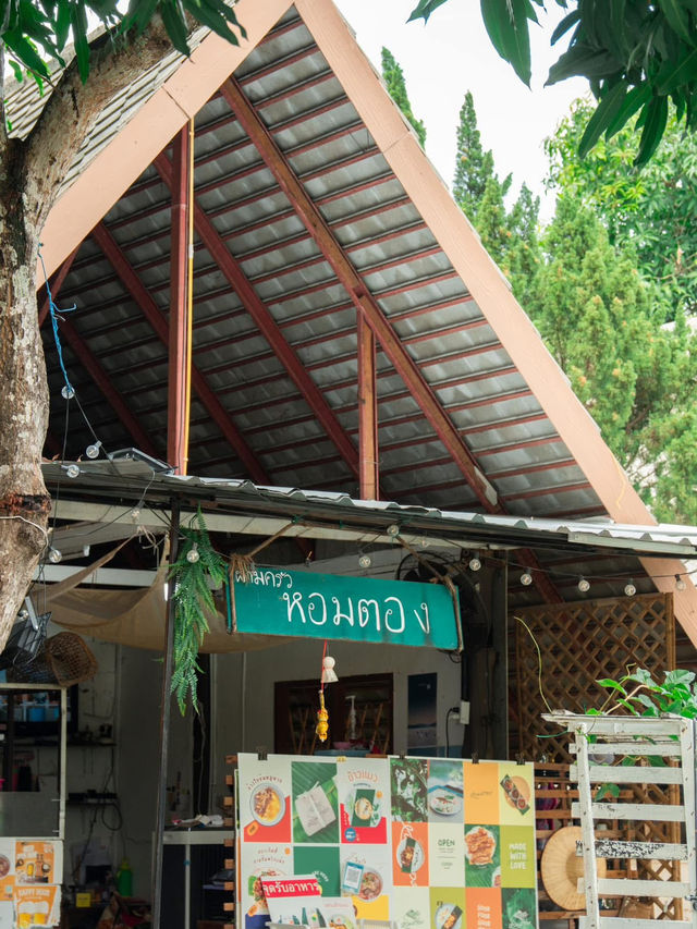 💚 " หอมตอง " 💚