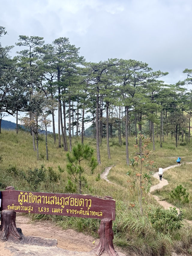 เดินป่าภูสอยดาว เมื่อปลายปีแล้ว 🌿