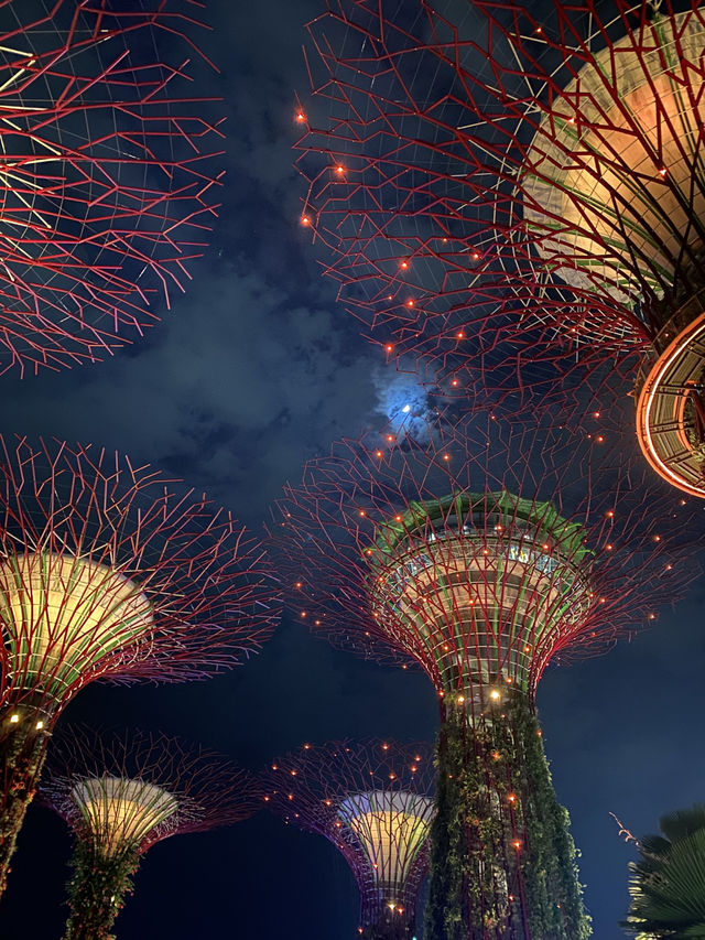 Supertree Grove at Night: Where Singapore Glows Like a Sci-Fi Movie