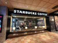 ☕ Cozy Starbucks Vibes at Akita ALS