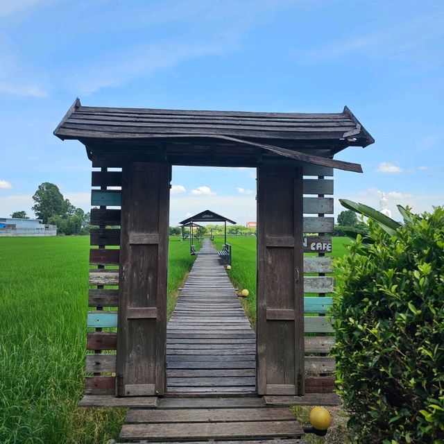 🍀นั่งชิล ชมทุ่งนา ที่ มะขามคาเฟ่ | อ่างทอง 🌿