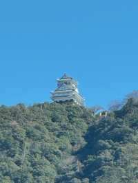 【絶景と歴史の融合】岐阜城から望む金華山のパノラマビュー