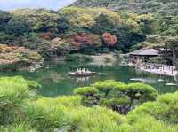 Peace & Pines at Ritsurin Garden