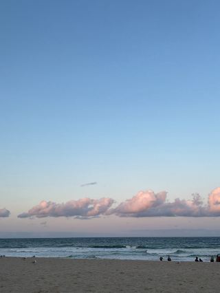 🌊 [Seaside town accessible by ferry] Relaxing time at the beach at Manly Beach