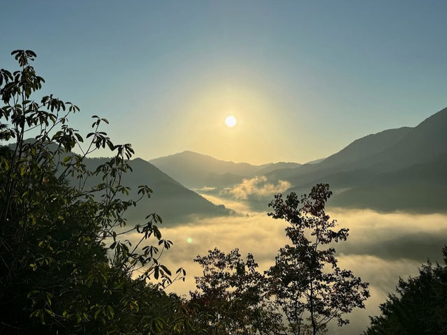 【竹田城跡】雲海に浮かぶ“天空の城”で、幻想的な絶景旅を体験🌄✨