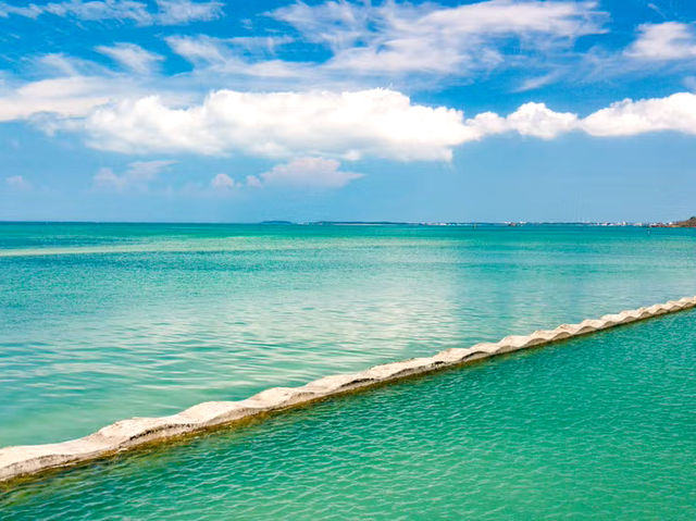 走進澎湖的海底微世界，這座小館有大感動