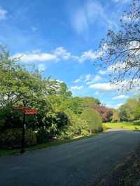 Abbey Park