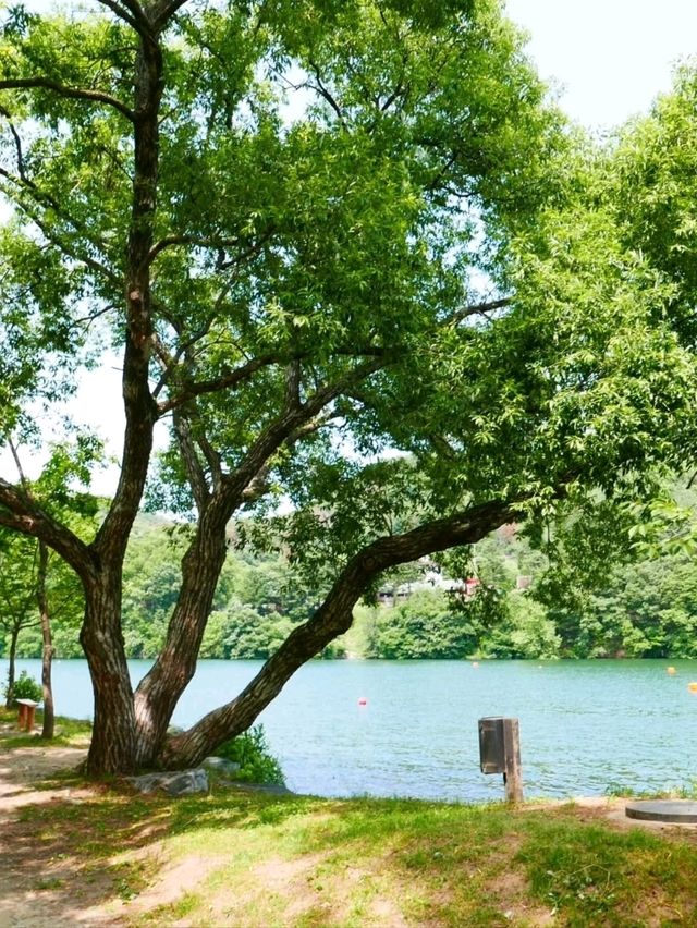 Chill Walks & Lake Vibes