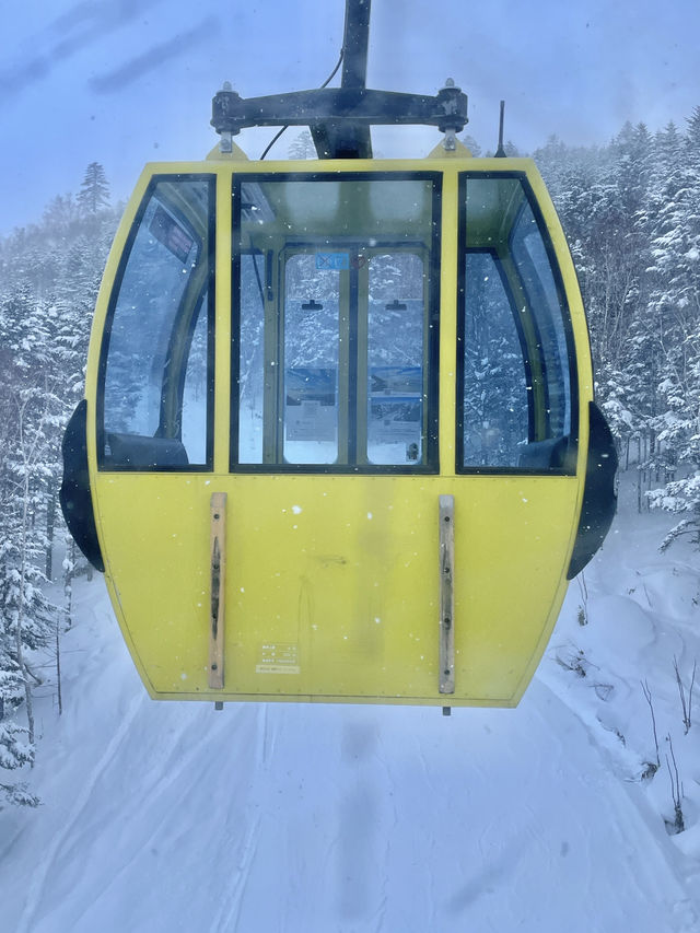 겨울에 떠날 토마무여행 계획 렛츠고🏂🛷