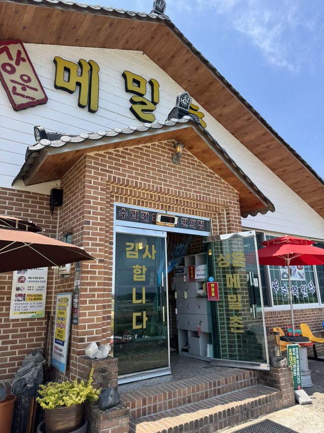 부산>강릉-양양 취향껏 다녀온 1박 2일 속성코스
