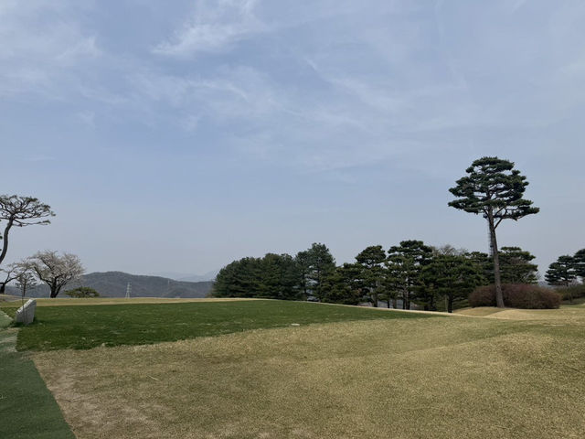 은화삼cc 라운딩