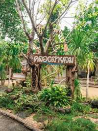 🌿 The Canal Cafe คลองสายลม 🍃 