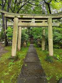 Nezu Museum: Tokyo’s Hidden Garden of Art