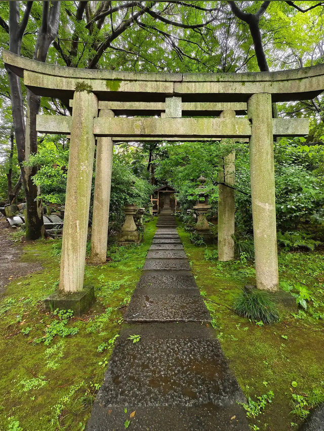 Nezu Museum: Tokyo’s Hidden Garden of Art