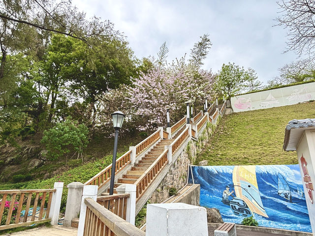 **🌊 汕頭媽嶼島｜絕美海邊木棧道，漫步聽濤，感受潮汕小島的浪漫！**