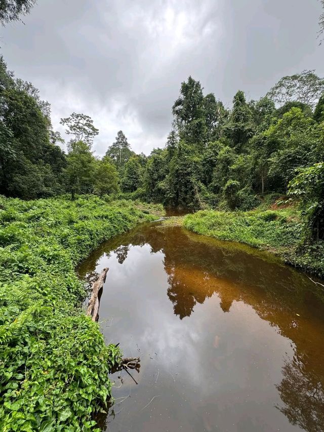 Jungle Feels & Waterfall, Khao Yai is a Nature Win