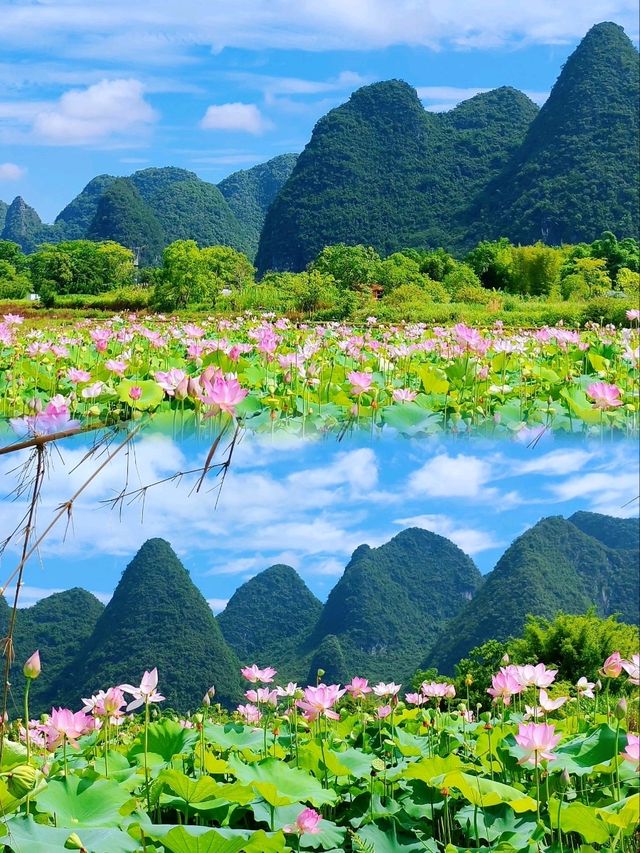 遇龍河十里畫廊騎行