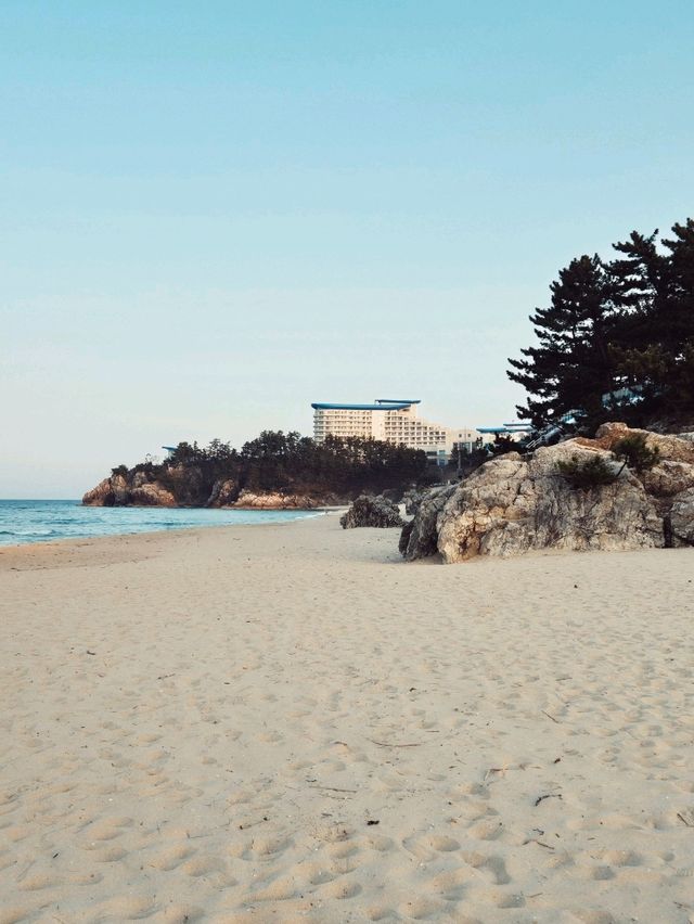 기암괴석과 해변의 조화💙추암해변