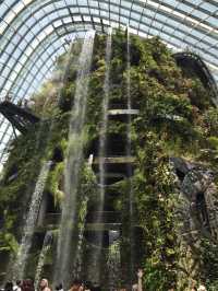 新加坡的室內植物園 Flower Dome