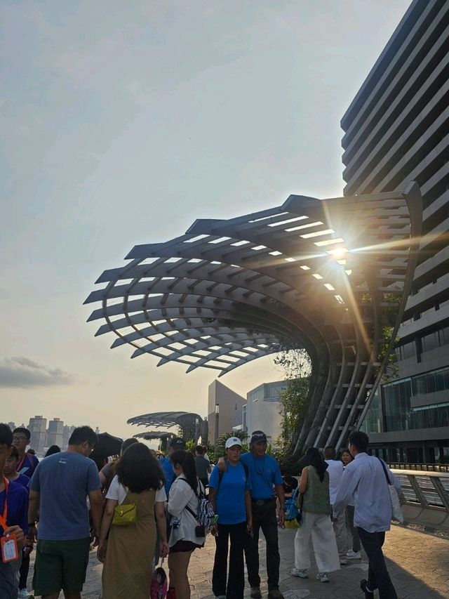 日與夜的景色都同樣令人沉醉的維多利亞港