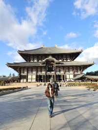 Nara Day trip ✨ Big buddha & bowing deer 🦌🫶🏻