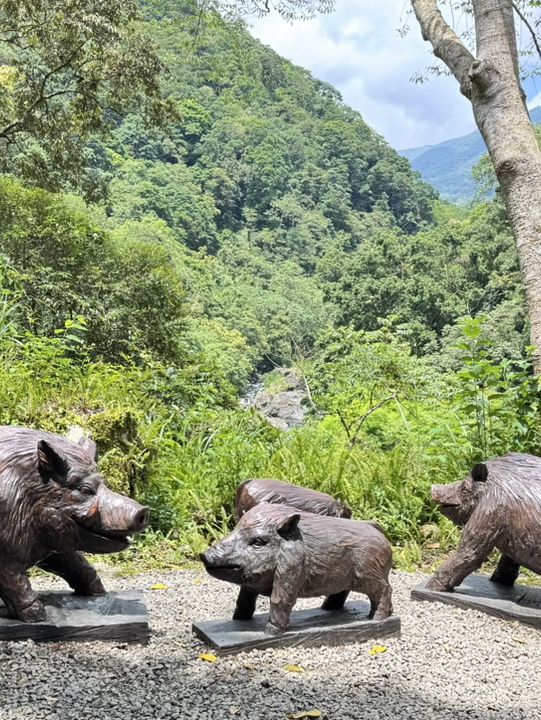 內洞-蝴蝶公園