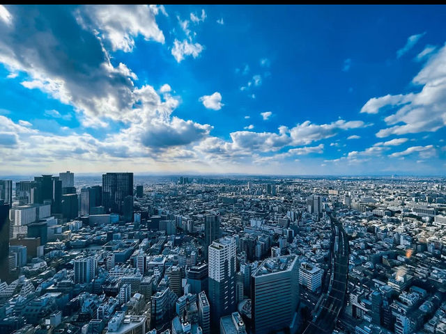 🌆新宿の空に浮かぶラグジュアリー「BELLUSTAR TOKYO」で非日常体験を