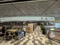 🛫 A Relaxing Pre-Flight Oasis – Blossom Lounge at Changi T4