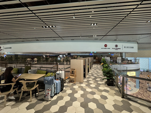 🛫 A Relaxing Pre-Flight Oasis – Blossom Lounge at Changi T4