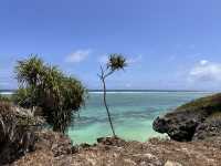 【Mtende Beach／ムテンデ・ビーチ｜“ザンジバル島の秘境、天国のような静寂と絶景に出会う場所”】