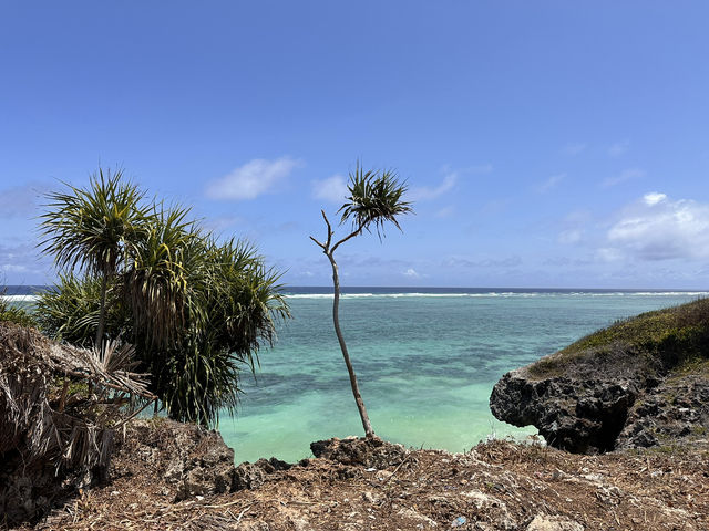 【Mtende Beach／ムテンデ・ビーチ｜“ザンジバル島の秘境、天国のような静寂と絶景に出会う場所”】