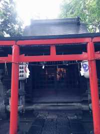 【大人な井の頭公園　東京　吉祥寺　三鷹　井の頭池アラウンドウォーキング】